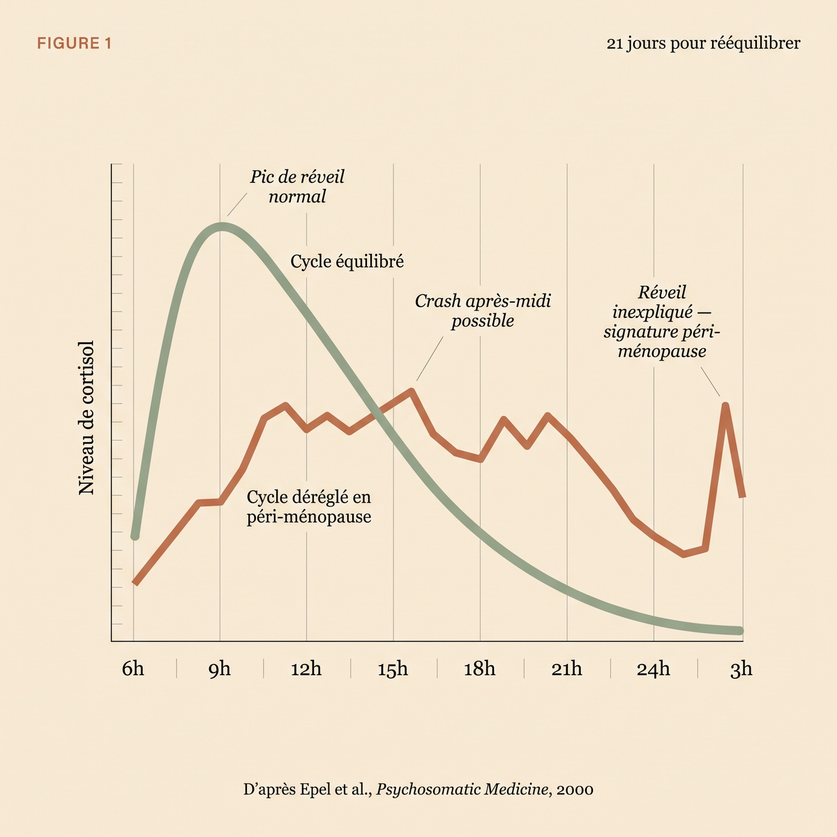Le Protocole Cortisol Reset 21 Jours Manuel & Carnet d'Exercices